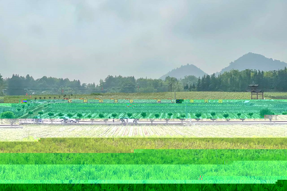 七彩藥王谷産業振興園各類藥草茁壯成長