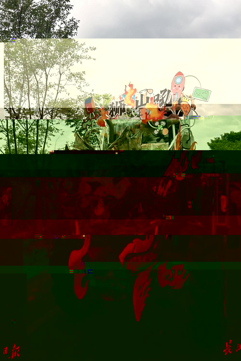 被裝扮成獅子造型的機身。記者陳曉彤 攝