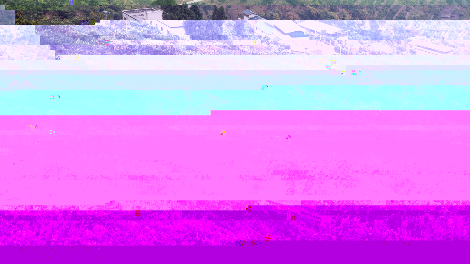 演示7QDGS-400遙控雙向牽引山地果園軌道運輸機運輸水果