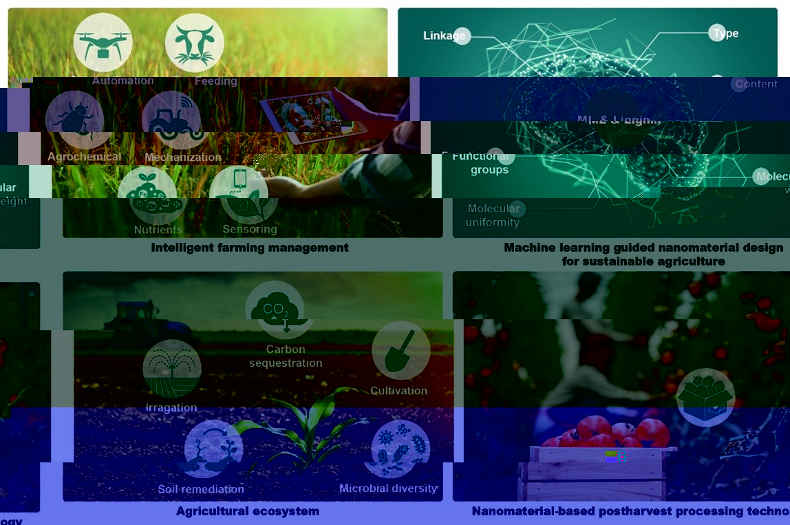圖5 木質素納米技術在現代農業中應用的展望