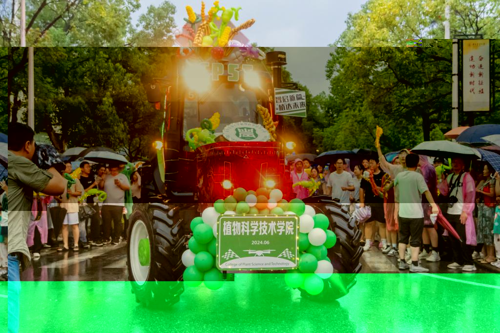 華中農大畢業農機巡遊。周子睿 攝2