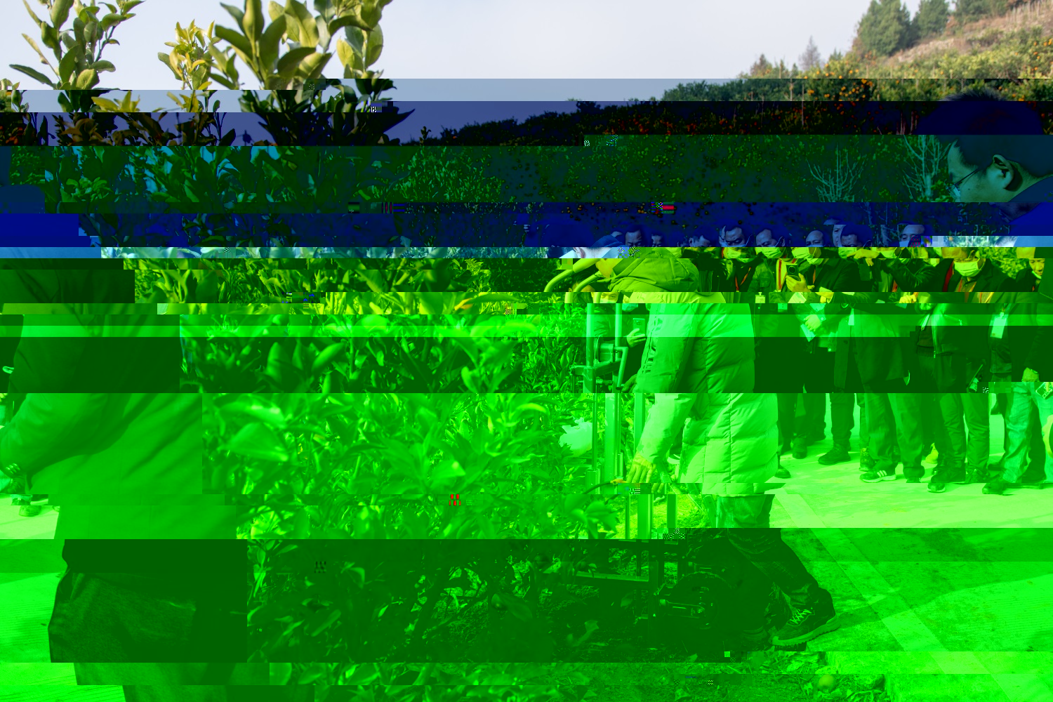 演示挖掘施肥機