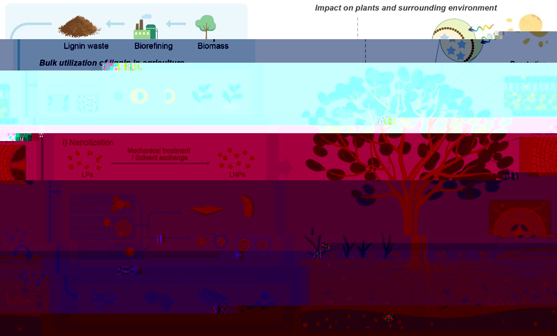 圖3 現有木質素納米生物技術在農業中的應用