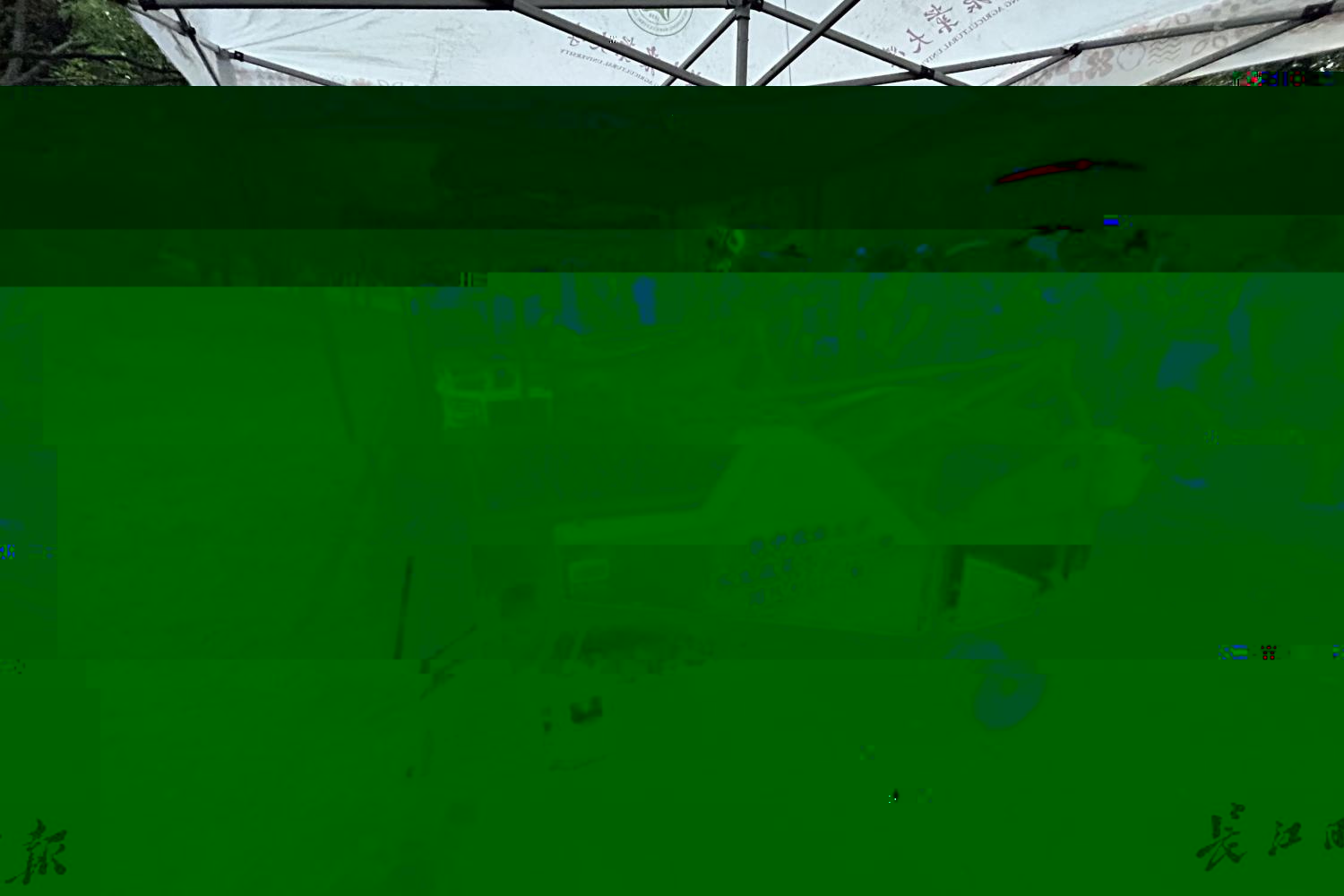 展示區裡的多台農機從地裡回校。記者陳曉彤 攝