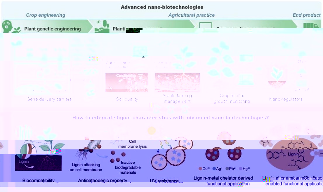 圖2 現有農業先進納米生物技術及可與農業納米技術耦合的木質素特性