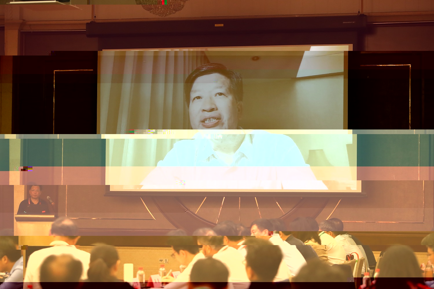 鄧秀新院士剖析問題